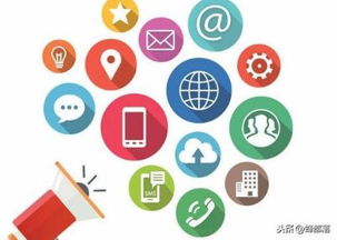 蜂农转型记 一位养蜂人分享的网络销售与跨界经营新思路